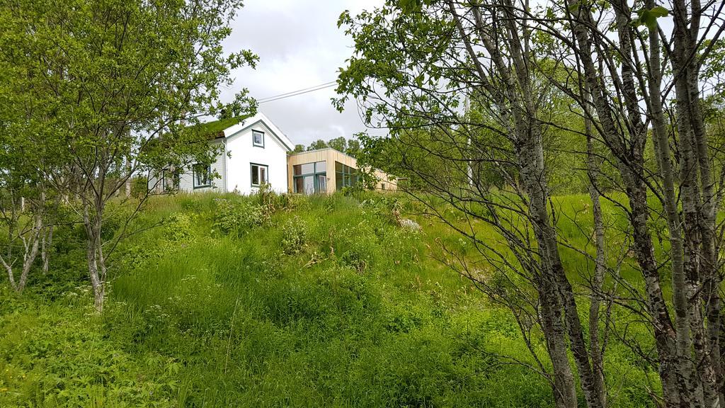 Gamtunet Lyngen Svensby Luaran gambar